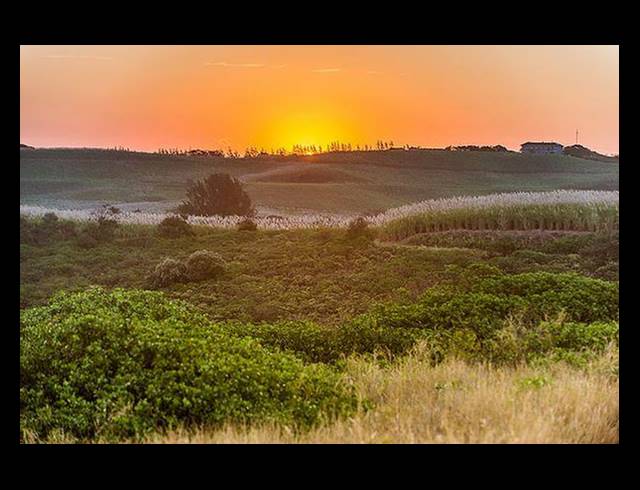 1,105M² VACANT LAND FOR SALE IN SHEFFIELD BEACH